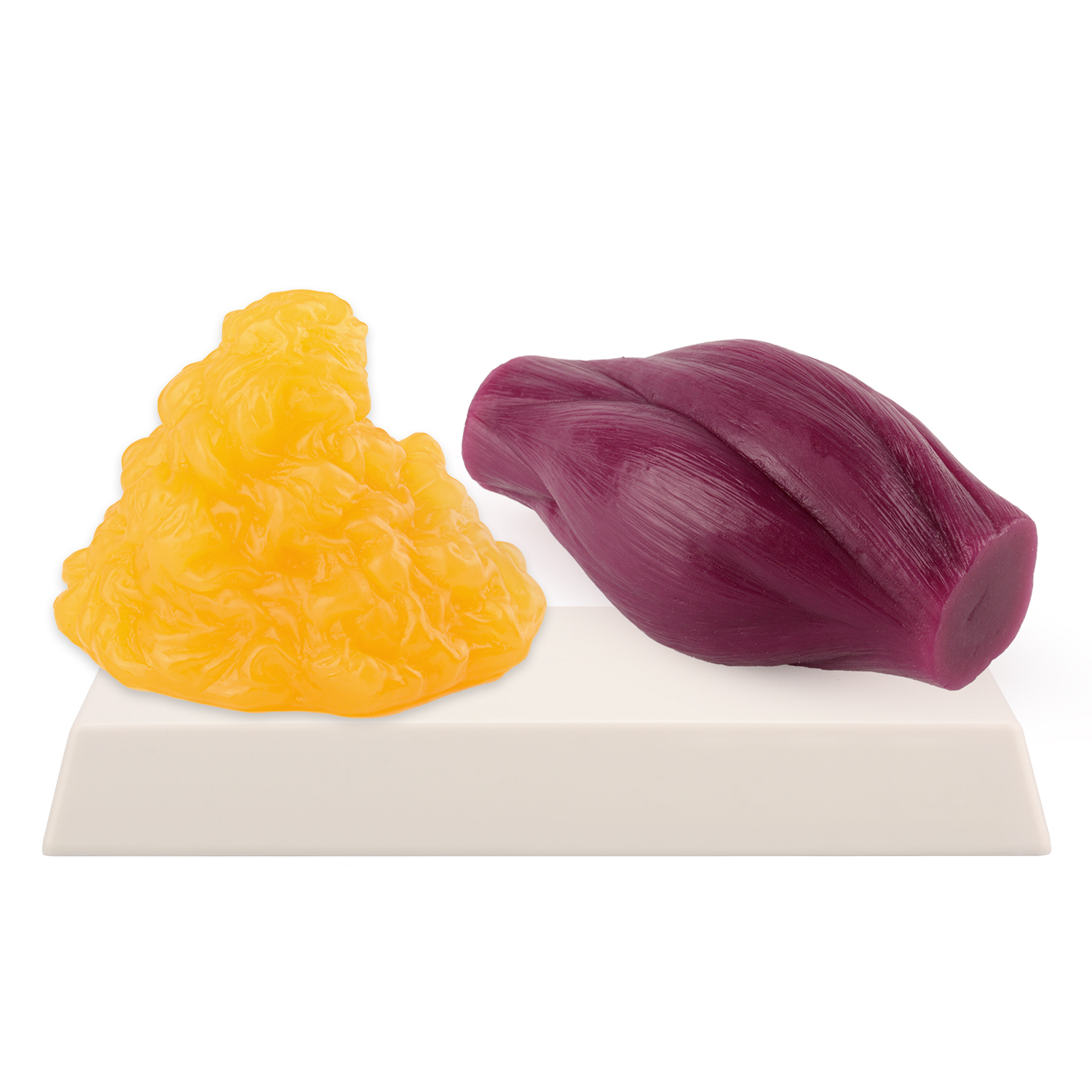 1lb Fat Replica & Muscle to Ke - Nutrition For Fitness 评论和价格