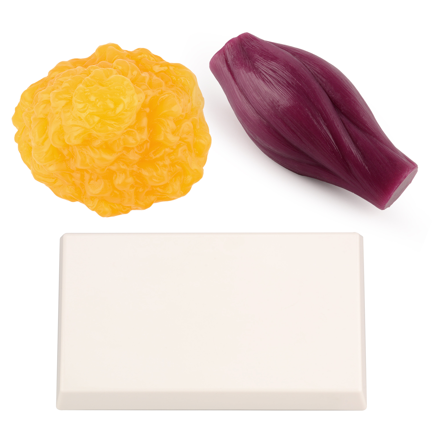 1lb Fat Replica & Muscle to Ke - Nutrition For Fitness 评论和价格
