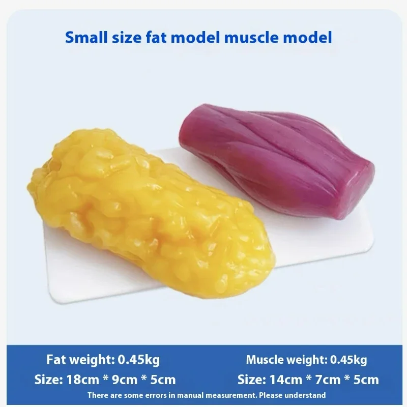 Human Muscle and Fat Replicas  - Nutrition For Health Fitness & Sport Melvin Williams 评论和价格